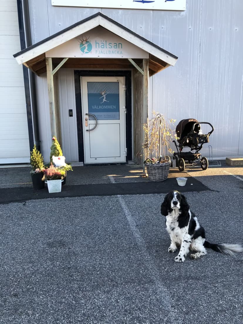 Gemenskap på gymmet